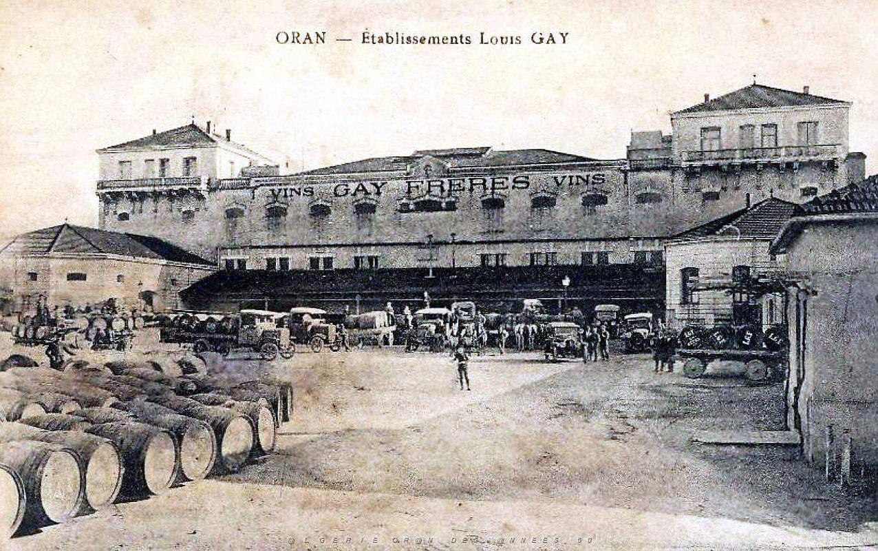 2216- Oran-Gambetta - Etablissement Louis Gay.jpg